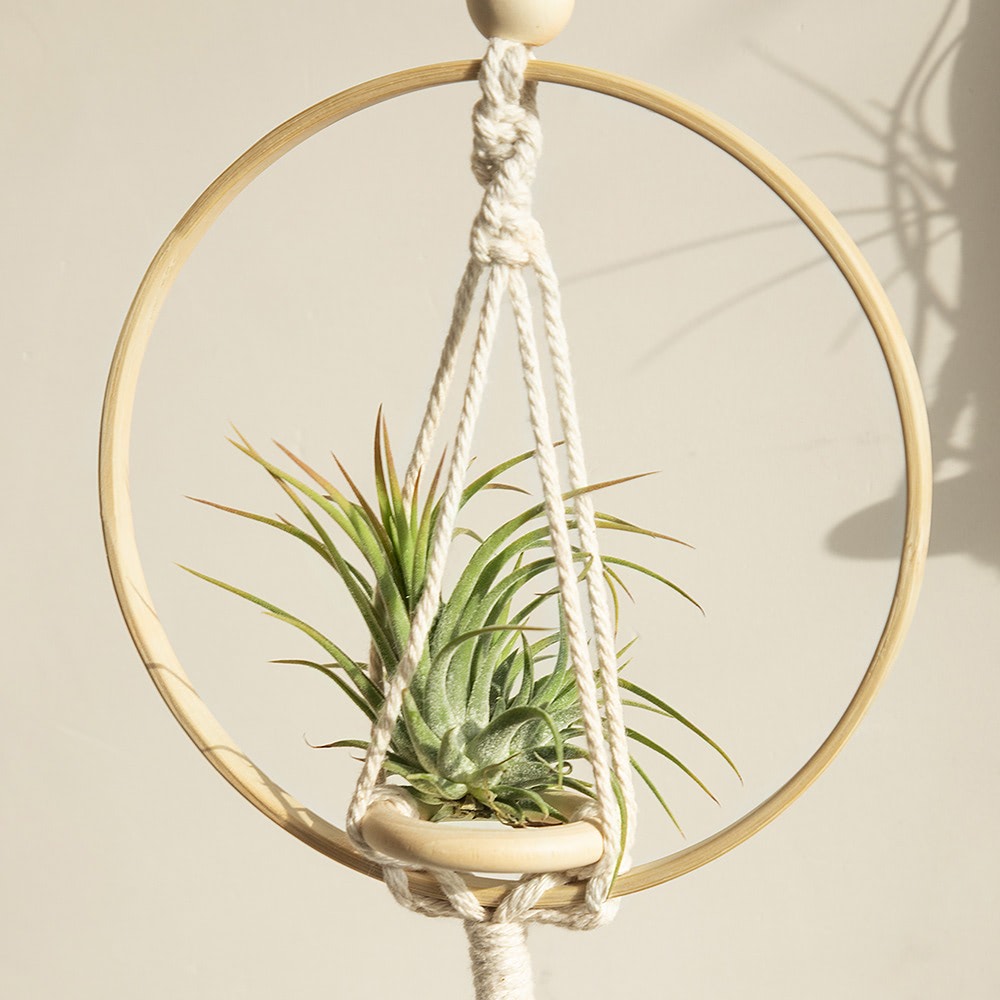 Macramé Houten Cirkel Plantenhanger