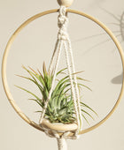 Macramé Houten Cirkel Plantenhanger