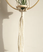 Macramé Houten Cirkel Plantenhanger
