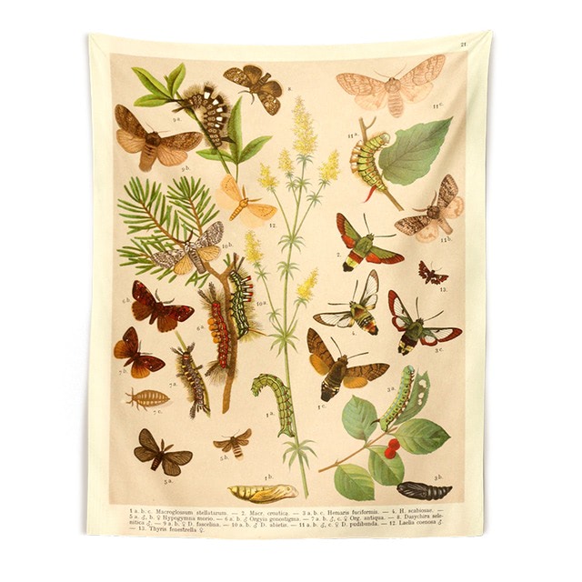 Botanisch Wandtapijt met Vlindersoorten