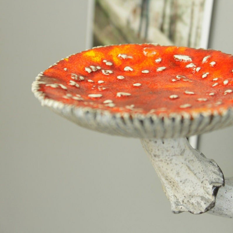 Paddenstoel Wandplank