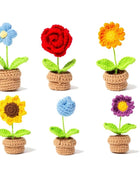 Gehaakte Mini Bloemen in Potjes