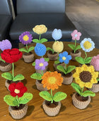 Gehaakte Mini Bloemen in Potjes