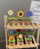Gehaakte Mini Bloemen in Potjes