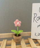 Gehaakte Mini Bloemen in Potjes