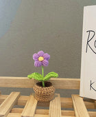 Gehaakte Mini Bloemen in Potjes