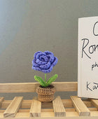 Gehaakte Mini Bloemen in Potjes