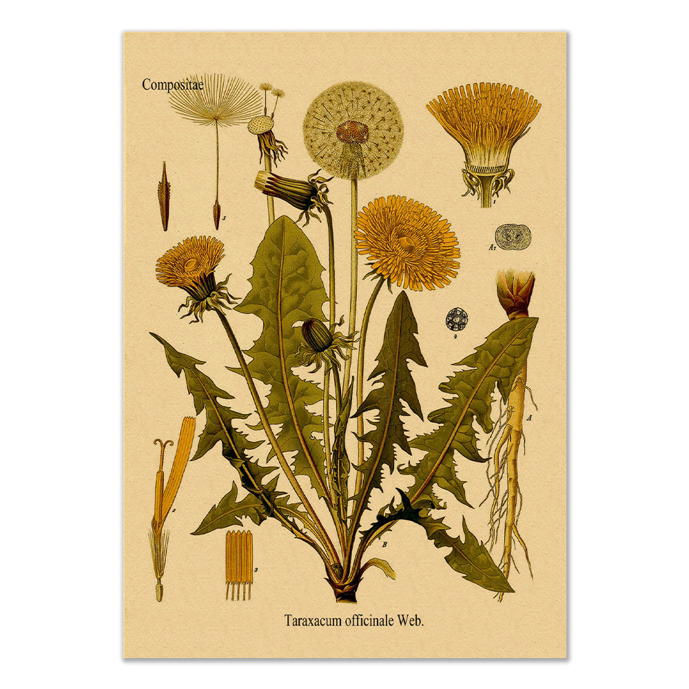Paardebloem Kraft Papier Poster