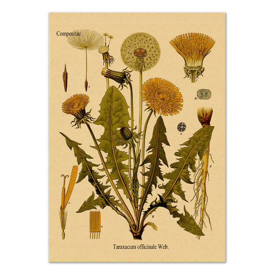 Paardebloem Kraft Papier Poster