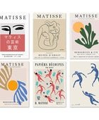 Matisse Abstracte Canvas Posters