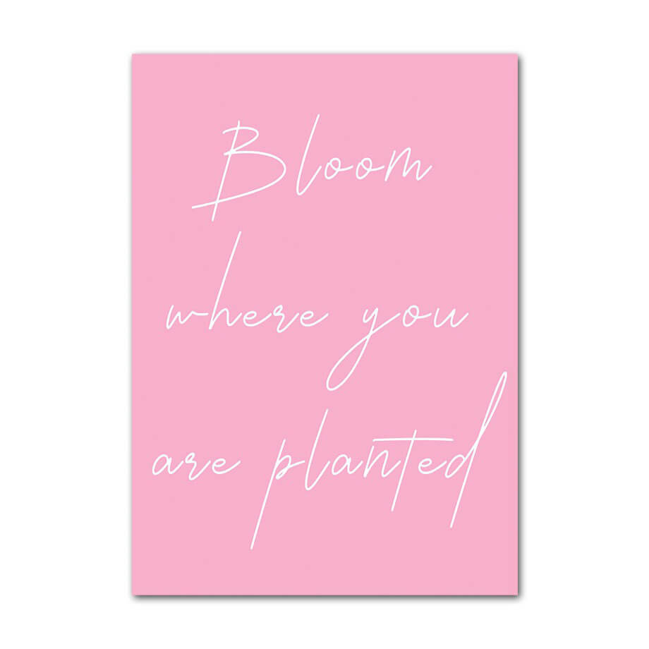 Pastel Roze Kunst Canvas Posters