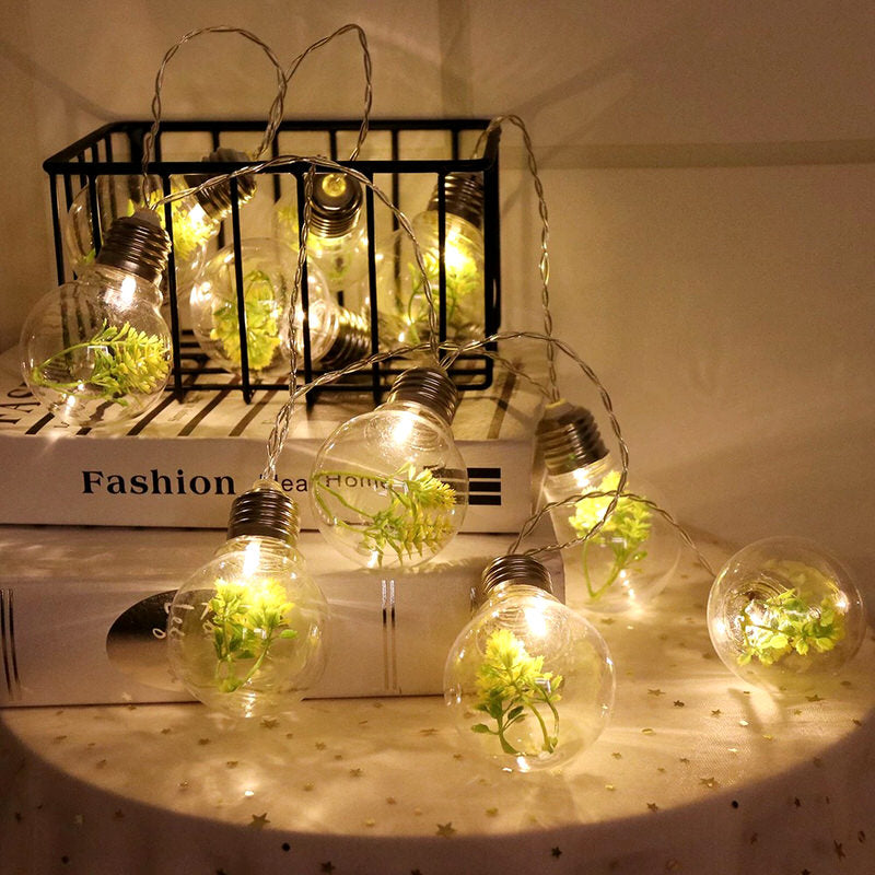 Succulente Gloeilamp Slingerverlichting