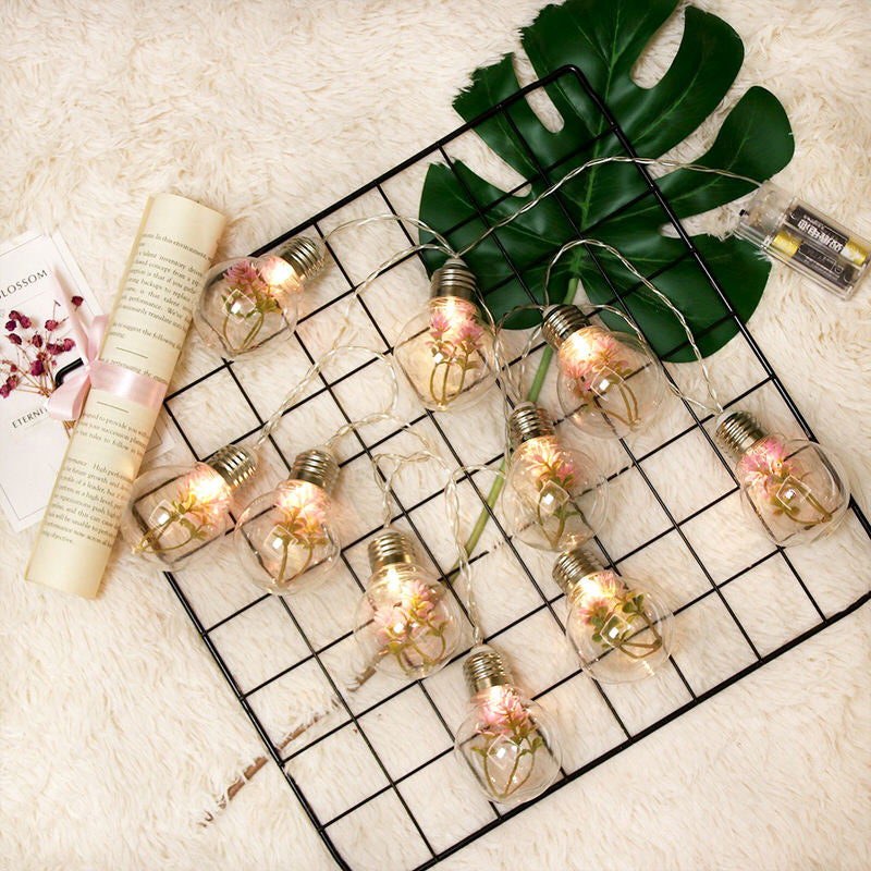 Succulente Gloeilamp Slingerverlichting