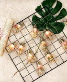 Succulente Gloeilamp Slingerverlichting