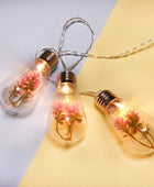 Succulente Gloeilamp Slingerverlichting