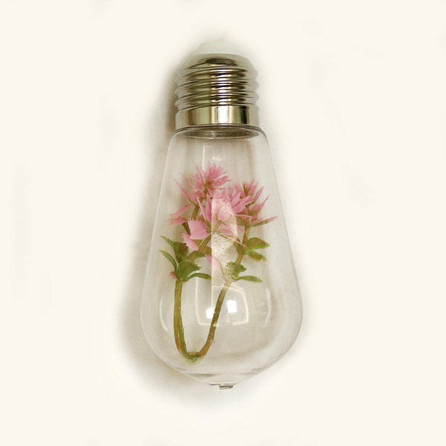 Succulente Gloeilamp Slingerverlichting
