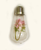 Succulente Gloeilamp Slingerverlichting