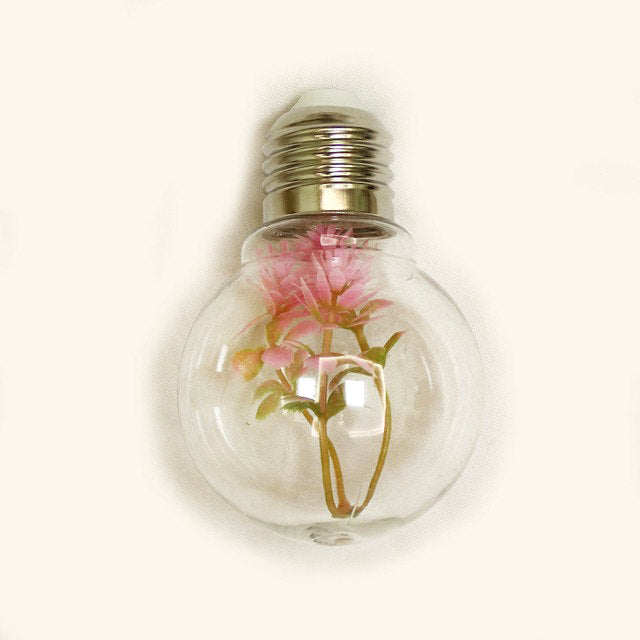 Succulente Gloeilamp Slingerverlichting