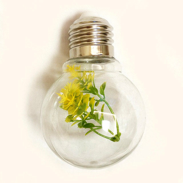 Succulente Gloeilamp Slingerverlichting