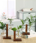 Terrarium Plantenvaasjes