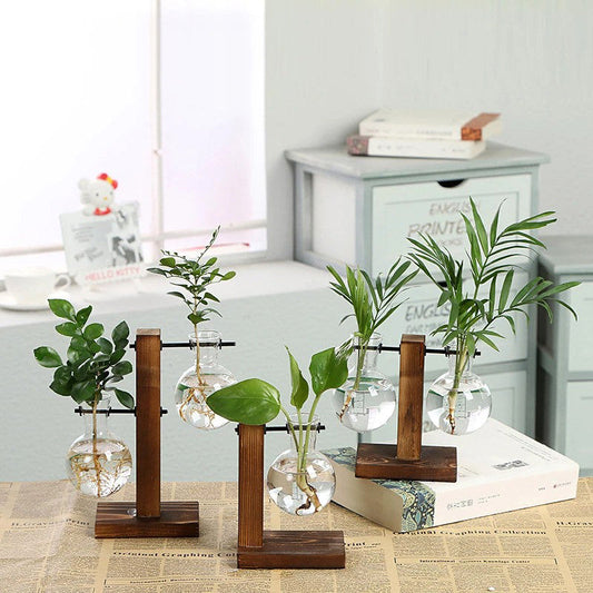 Terrarium Plantenvaasjes