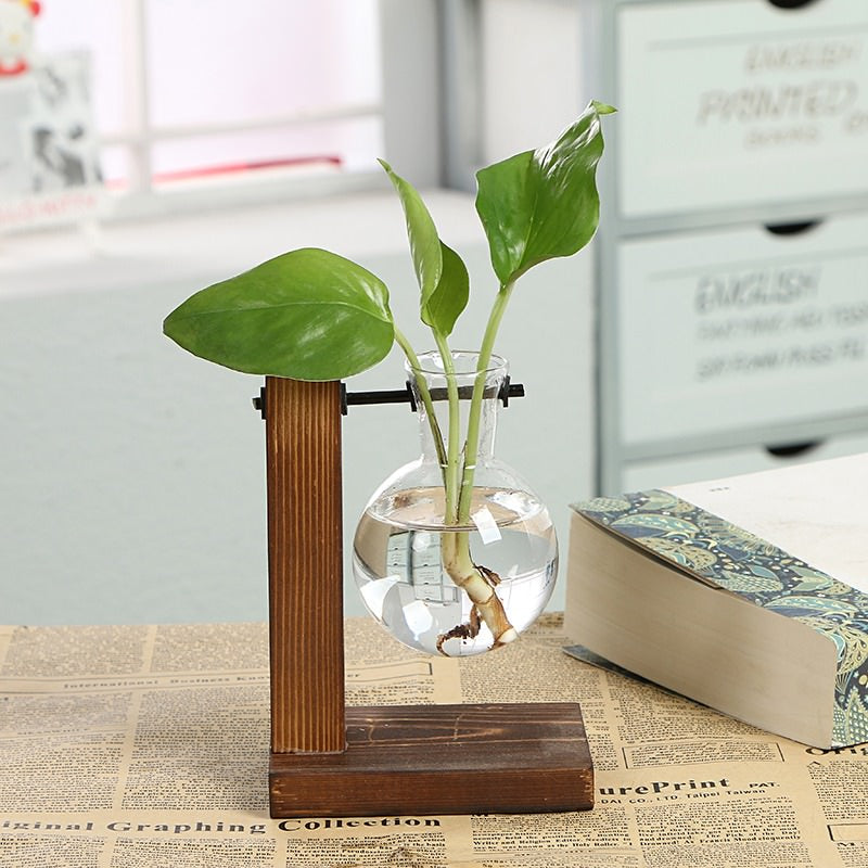 Terrarium Plantenvaasjes
