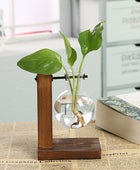 Terrarium Plantenvaasjes
