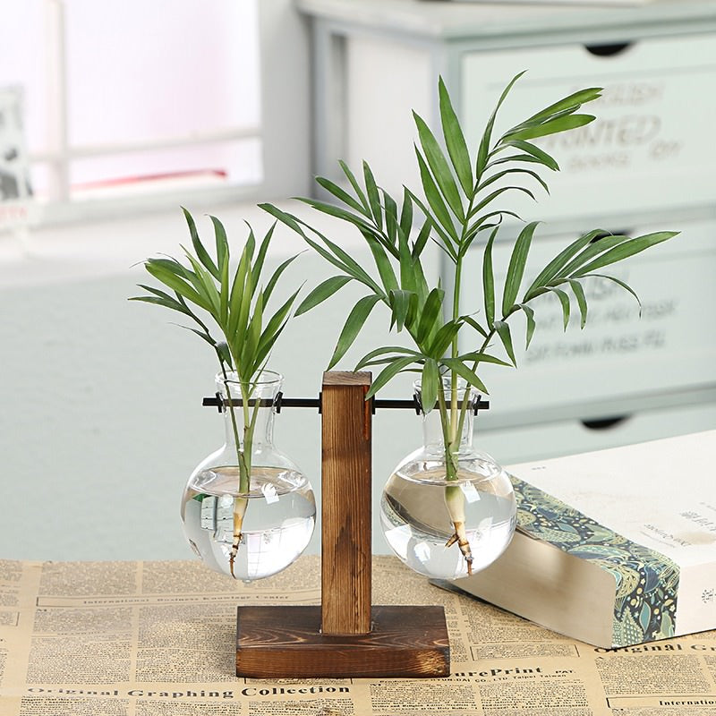 Terrarium Plantenvaasjes