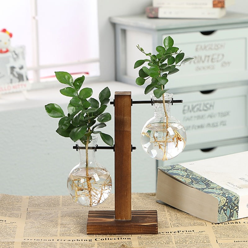 Terrarium Plantenvaasjes
