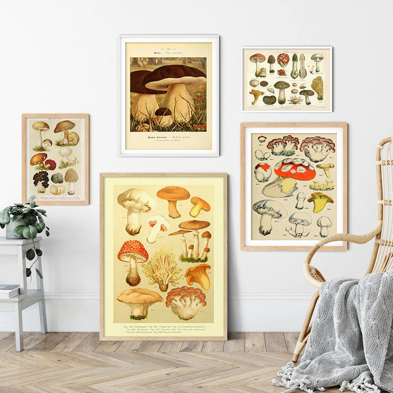 Vintage Paddenstoelen Canvas Posters