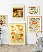 Vintage Paddenstoelen Canvas Posters
