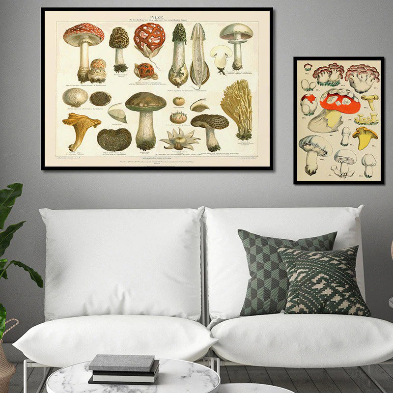 Vintage Paddenstoelen Canvas Posters