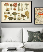 Vintage Paddenstoelen Canvas Posters