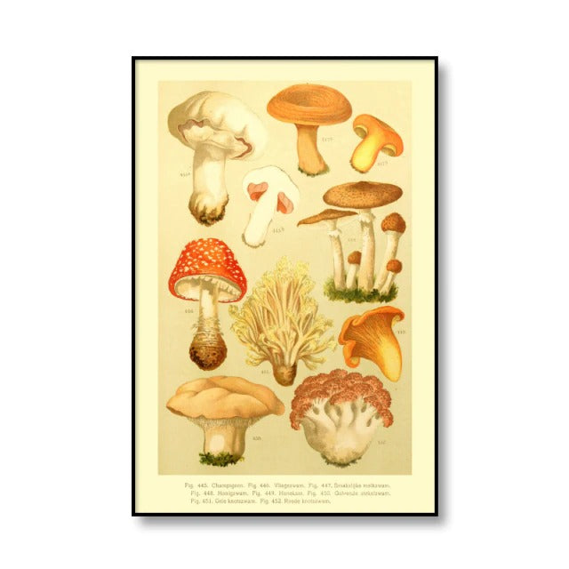 Vintage Paddenstoelen Canvas Posters