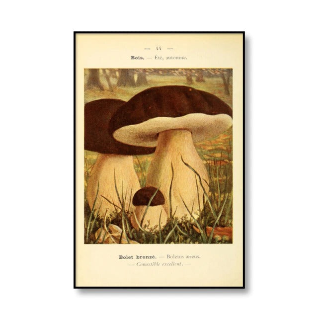 Vintage Paddenstoelen Canvas Posters
