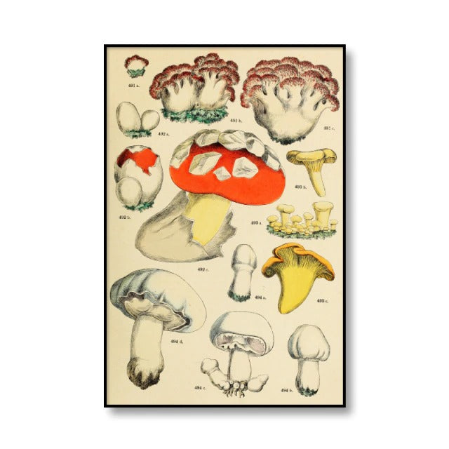 Vintage Paddenstoelen Canvas Posters