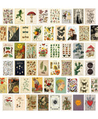 Retro Botanische Wandcollage Kaarten