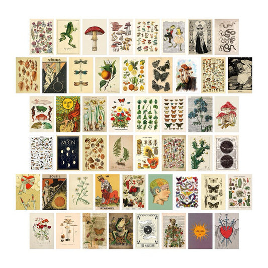 Retro Botanische Wandcollage Kaarten
