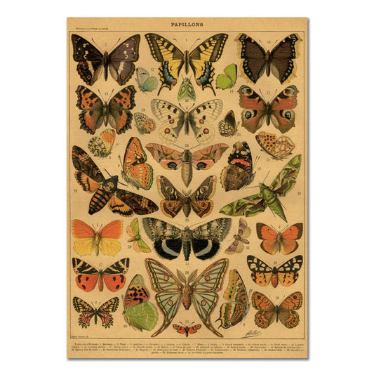 Vlinderposter op Kraftpapier